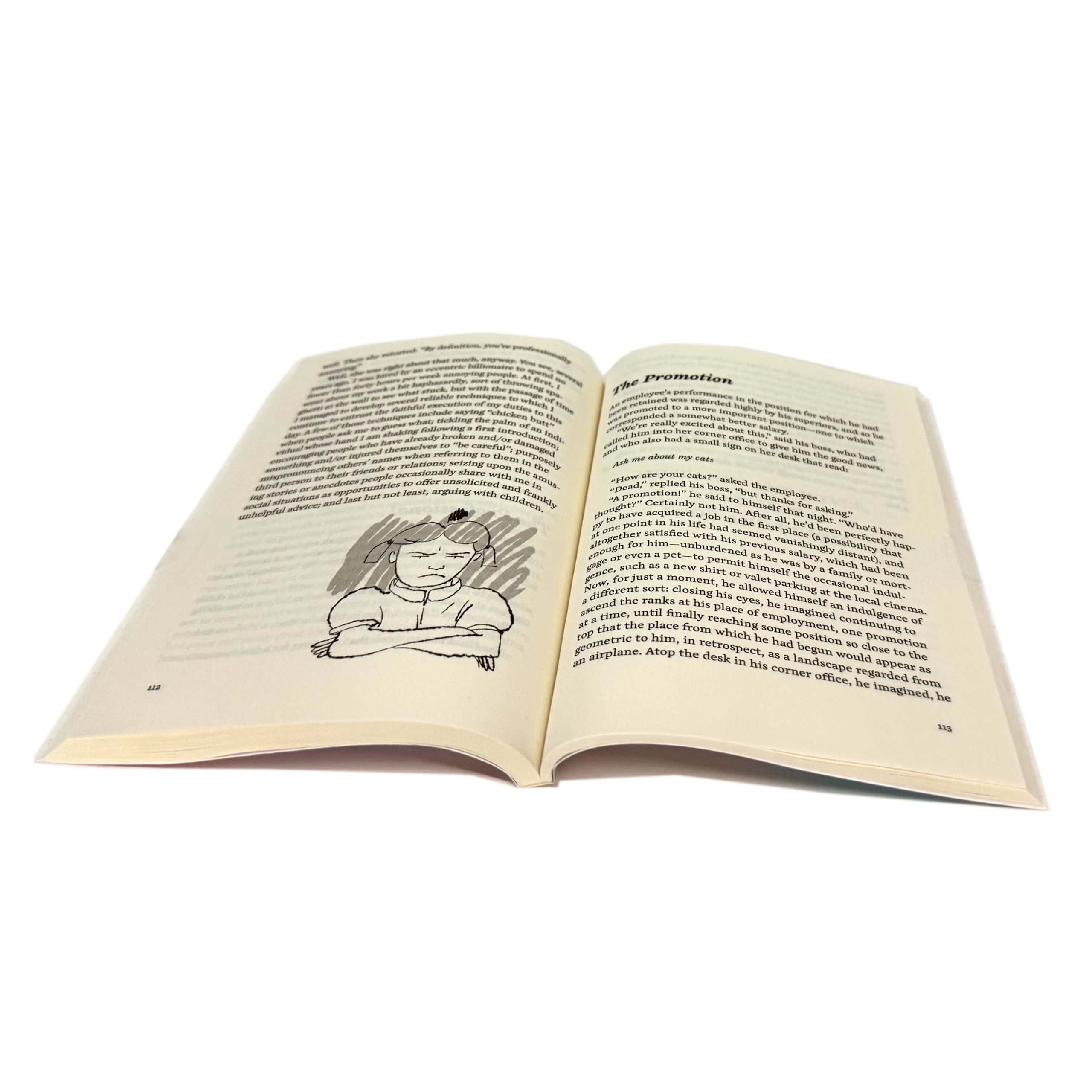 Various Stories About Specific Individuals in Particular Situations - Image 2