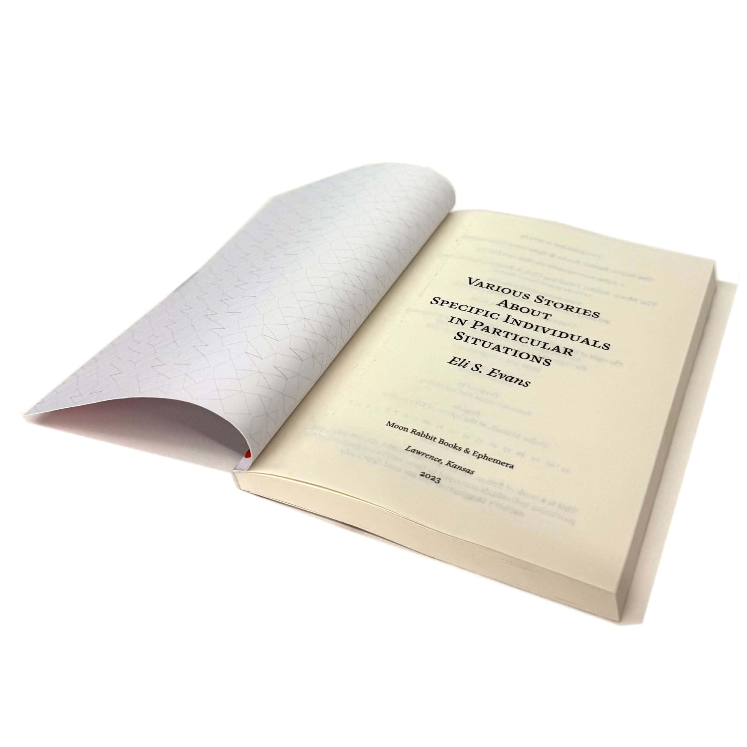 Various Stories About Specific Individuals in Particular Situations - Image 3